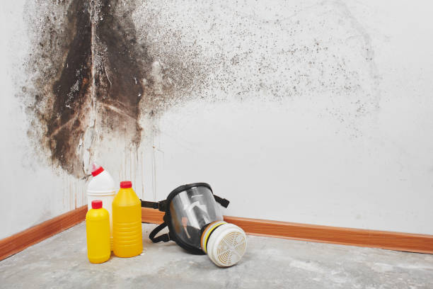 Best Toxic Mold Removal  in Sugarcreek, PA
