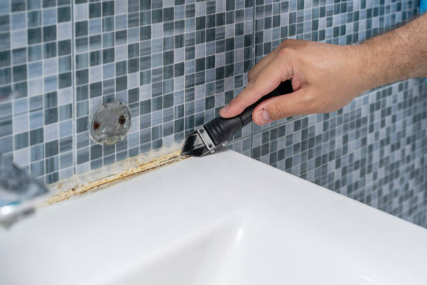 Best Mold Remediation  in Sugarcreek, PA